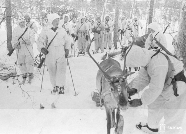 A Finnish ski patrol raiding party on reindeer patrol in Jäniskoski, February 1920. Reindeer were used in a logistics role to drag sleds. This type of unit, which was capable of moving effectively through the forests, while the Russians, was responsible for the actions along the Russian columns that caused so much damage. The patrols would attack the Russians, who were bound to the road, and then disappear. Photo credit SA-Kuva