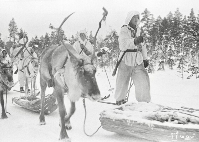 Reindeer patrol in Jäniskoski. Note sleds, which came in various sizes and could carry food, ammo, tents, cooking kit, meds, etc., as well as heavy weapons such as mortars and machine guns. They were also used for casualty evacuation. Simple but effective, the sleds were adopted from civilian practices. Photo credit SA-Kuva